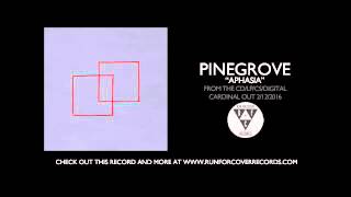 Pinegrove  quotAphasiaquot Official Audio [upl. by Noterb]