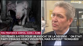 Maltraitance animale  les gérants de la porcherie de Montsuzain s’en sortent avec des peines [upl. by Crispin]