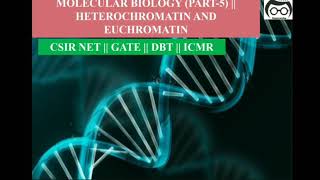 HETEROCHROMATIN AND EUCHROMATIN  MOLECULAR BIOLOGY  CSIR NET  GATE  DBT [upl. by Enaenaj]