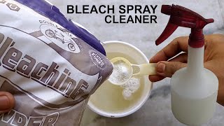 How To Make Disinfectant Bleach Spray Cleaner At Home [upl. by Brenden484]