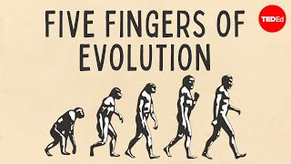 Five fingers of evolution  Paul Andersen [upl. by Arretahs751]