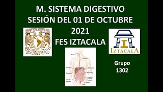 M Sistema Digestivo Sesión del Viernes 01 de Octubre del 2021 [upl. by Ahcim]