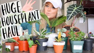 MASSIVE HOUSEPLANT HAUL 2020 [upl. by Verna]