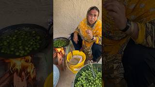 Lasoora da Achar minivlog rabiaahmadvlog villagelife shortvideo cookingchannel [upl. by Antonio]