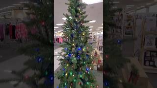 Watch  Christmas Trees  Tall amp Small  For YouTube Holiday Shorts Entertainment [upl. by Ayot788]