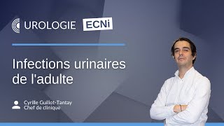 ECNi  Les infections urinaires [upl. by Enomahs]