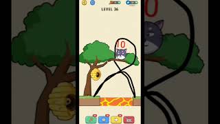 Bees pet puzzle game level 36 games [upl. by Willin]