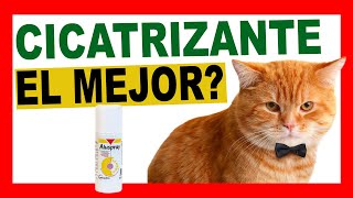 ALUSPRAY de Vetoquinol es el MEJOR CICATRIZANTE Veterinario [upl. by Tarabar296]