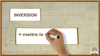 NT2  Apprendre le néerlandais  structure Inversion [upl. by Inger]