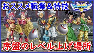 DQ3 HD2D版 これでOK！序盤のレベル上げ解説！おススメパーティ紹介と優秀な特技紹介！序盤の流れも紹介！ドラクエ3リメイク 攻略【メイルス】 [upl. by Vic]