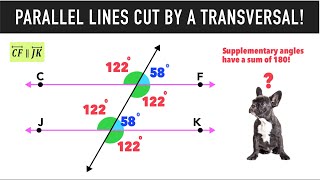 Parallel Lines Cut by a Transversal amp Angle Relationships [upl. by Aveer]