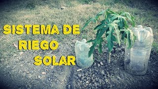 Como Hacer un Sistema de Riego Solar – Riego a Goteo [upl. by Aubree105]