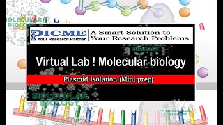 Plasmid Isolation Mini prep  Virtual Lab Molecular biology  PICME Labs [upl. by Enyamert]