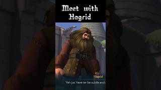 Hagrid the giant of Hogwarts  SRP ASMR  gaming asmr [upl. by Tarrah]