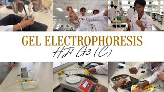 HJ1G3Gel Electrophoresis DIY20242025 [upl. by Eilssel587]