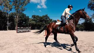 Hipico Cipreses Día de Test para la Cuadra A CORDOBES LS 🐴 [upl. by Heydon]