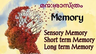 Memory Types of MemoryStage Model of Memory Richard AtkinsonShiffrinIGNOU Psychology [upl. by Enilehcim559]