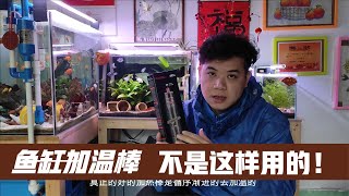 氣溫下降臨時加入加溫棒會出現什麽問題，你了解魚缸加溫嗎？ [upl. by Nerraw938]