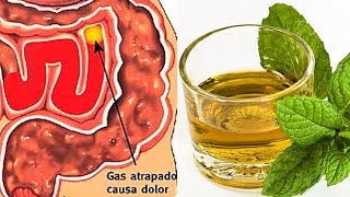 Remedios para Expulsar Gases Intestinales  Como Eliminar Gases Tomando Yerbabuena [upl. by Caroline]