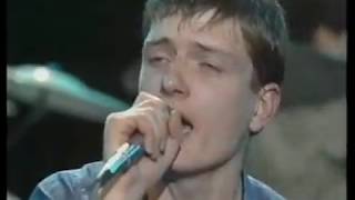 Transmission  Joy Division Something Else 1979 [upl. by Alemak300]