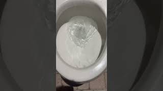 Mansfield pro fit toilet flushing on an overfilled tank [upl. by Sirovaj]