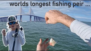 Grouper fishing the Skyway Fishing Pier Giveaway WINNER [upl. by Aneelad]