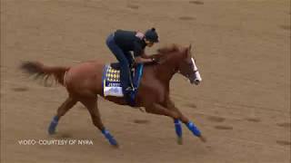 Belmont 2018 Justifys first gallop in New York [upl. by Corabella677]