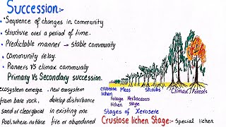 Succession  stages of xerosere succession  class 12 [upl. by Sender]