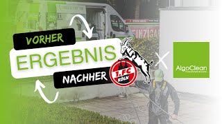 Fassadenreinigung beim 1 FC Köln  Algoclean Fassadenreinigung [upl. by Llertnauq]