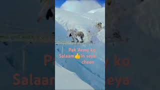 Pakarmypakistanseyacheenmapakistanhoonsongfamilyvelog music song newsong singer bollywood [upl. by Ahsinned]