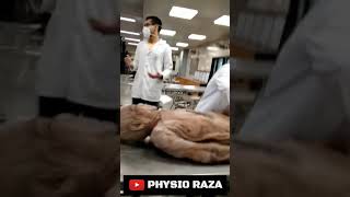 MBBS Students With Dead Body 🙄 Dissection Hall  Medical College  Physio Raza [upl. by Aikin73]