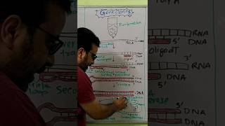 Construction of cDNA library [upl. by Gertie]