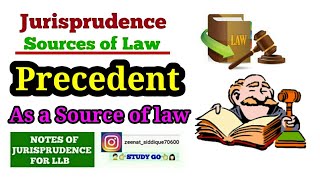 PRECEDENT IN JURISPRUDENCE IN HINDI  DEFINITION OF PRECEDENT  PRECEDENT AS A SOURCE OF LAW [upl. by Ryder]