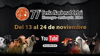 77° Feria Nacional Cebú Rionegro  Antioquia 2024  Día 3 [upl. by Chance]