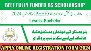 How to fill PEEF amp BEEF Scholarship Form 2024  scholarship Apply Online Scholarship 2024 [upl. by Nortal]