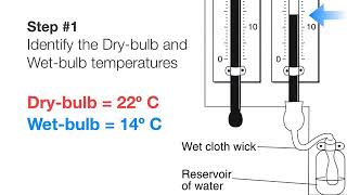 Calculating Relative Humidity And Dewpoint YouTube [upl. by Cody278]