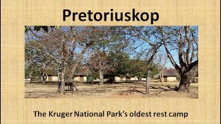 Pretoriuskop Rest Camp Kruger National Park South Africa [upl. by Lamonica]