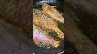 Frying fishes fryfish [upl. by Etireuqram]