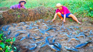 Catch a lot of Fishes Under Grass at the Abended Field with my Brother [upl. by Wernher]