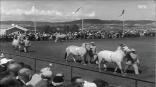 Landbruksutstilling på Ekeberg 1959 [upl. by Artair68]