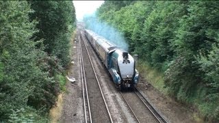 LNER 4464 Bittern  Winnersh Station 13th August 2012 [upl. by Ahtnammas936]