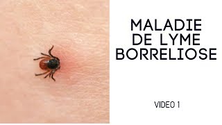 Borreliose ou maladie de Lyme episode 1 Naturopathe Andréa Fernandez Indulsky [upl. by Millisent]