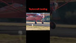 Taylorcraft Landing Taylorcraft airplanelanding [upl. by Sirret]