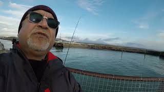 Fishing Newhaven UK  no Whiting [upl. by Bisset]