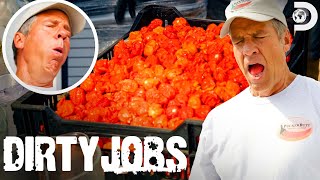 World’s Hottest Pepper Mike Rowe Battles Carolina Reaper Seeds  Dirty Jobs [upl. by Angadresma843]