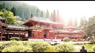 Japanische Entspannungsmusik mit Naturgeräuschen ◄◄◄  Japanische Musik [upl. by Syned]