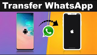 Try two ways to transfer whatsapp from android to iphone MobileTrans VS Wutsapper [upl. by Chafee]