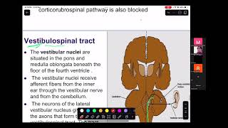 Neurophysiology day 3 Part B by Dr Farah Zulfiqar [upl. by Olenta]