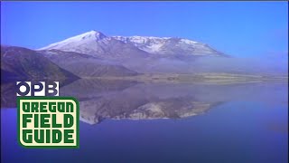 Mount St Helens Remains A Mystery to Ecologists  Oregon Field Guide [upl. by Einnij]