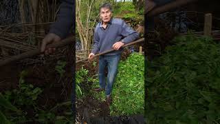 Réaliser son compost avec Yves Gillen 🍃 [upl. by Wentworth584]